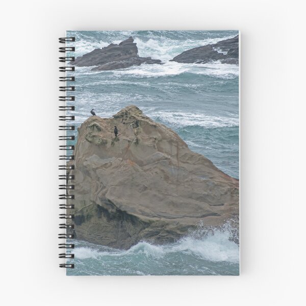 Item preview, Pair of Cormorants on rock formation on Oregon Coast designed and sold by lisavonbiela.