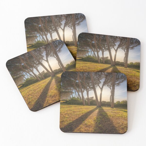 Item preview, Pine trees at sunset. Baratti, Tuscany, Italy. designed and sold by Stefano Orazzini.