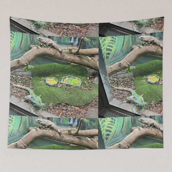Item preview, Iguanas in a Controlled Habitat designed and sold by artes-lunares.