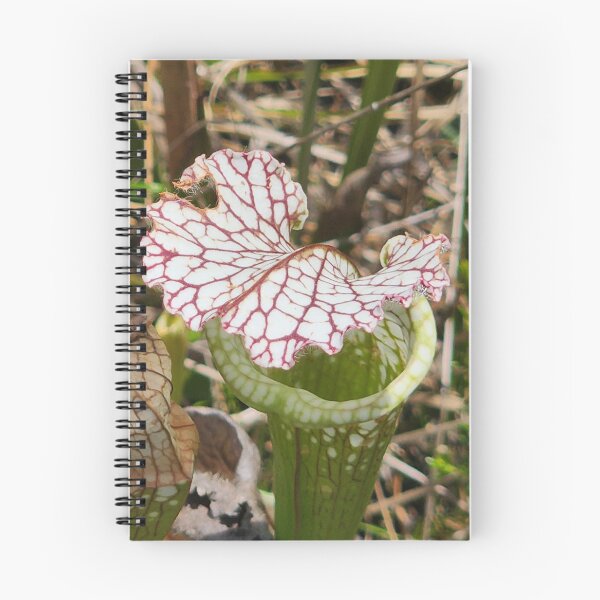 Item preview, Graceful Pitcher Plant designed and sold by Michelle Adams.