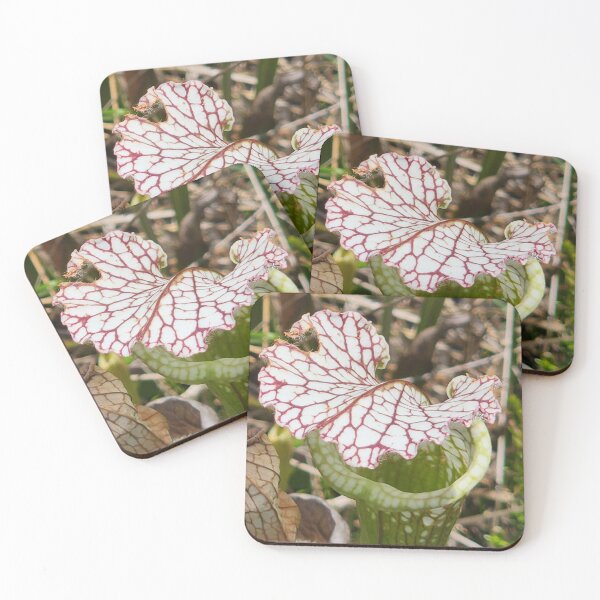 Item preview, Graceful Pitcher Plant designed and sold by Michelle Adams.