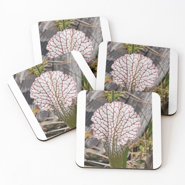Item preview, Elegant Pitcher Plant designed and sold by Michelle Adams.