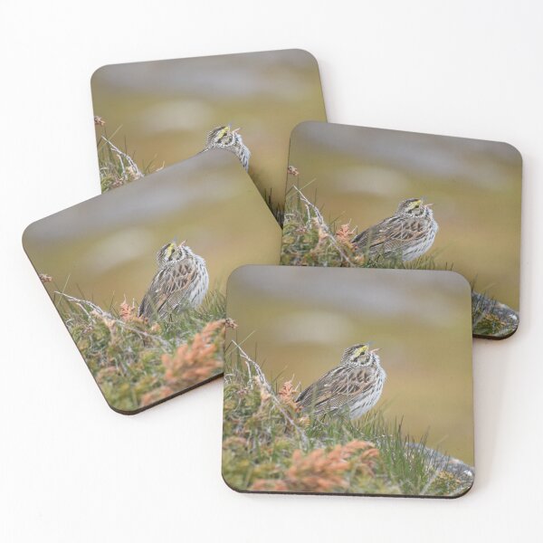 Item preview, Sparrow Sings designed and sold by DreaminReality.