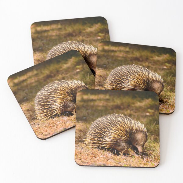 Item preview, Aussie Echidna designed and sold by jdrphotos.