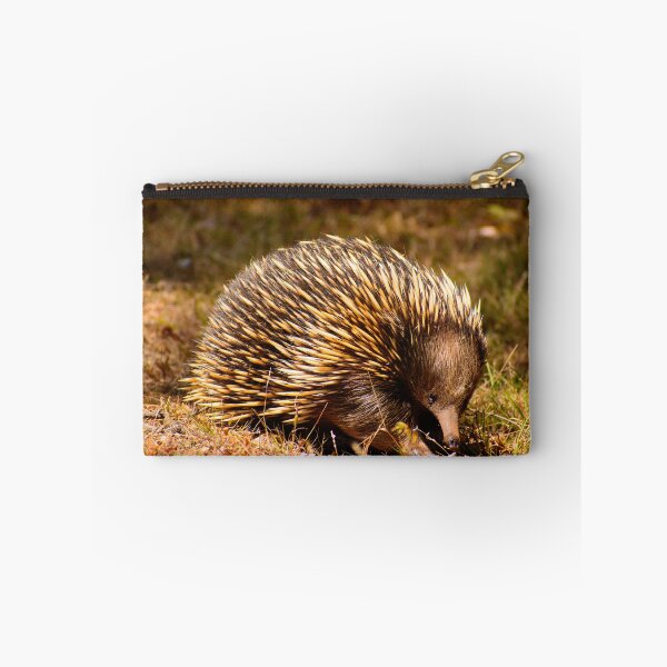 Item preview, Aussie Echidna designed and sold by jdrphotos.