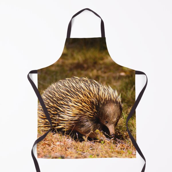 Item preview, Aussie Echidna designed and sold by jdrphotos.