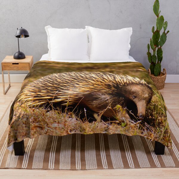 Item preview, Aussie Echidna designed and sold by jdrphotos.