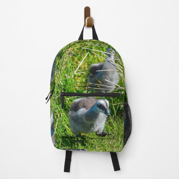 Item preview, Cape barren gosling designed and sold by jdrphotos.