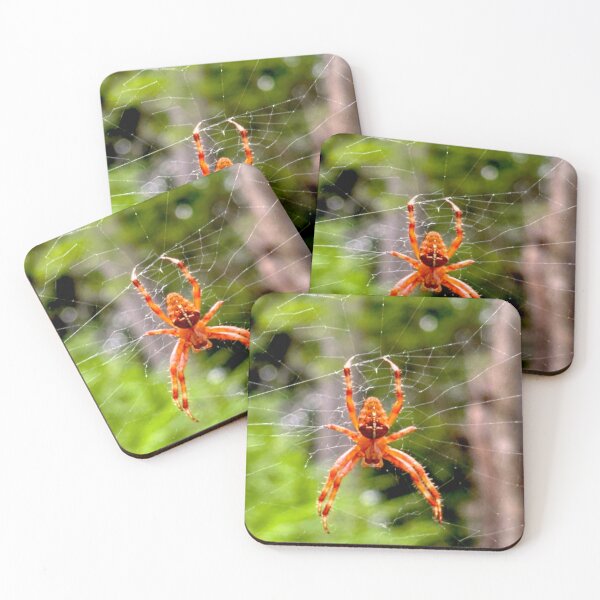Item preview, Spider and Web designed and sold by eclecticniche.