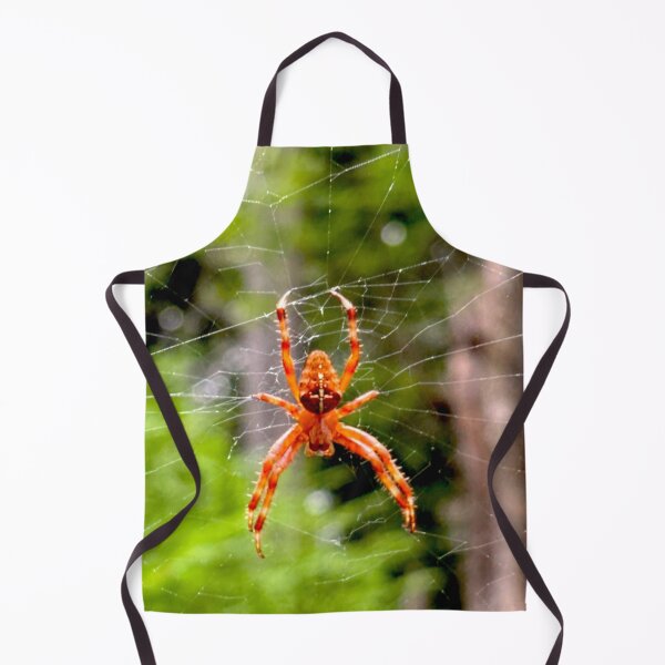 Item preview, Spider and Web designed and sold by eclecticniche.