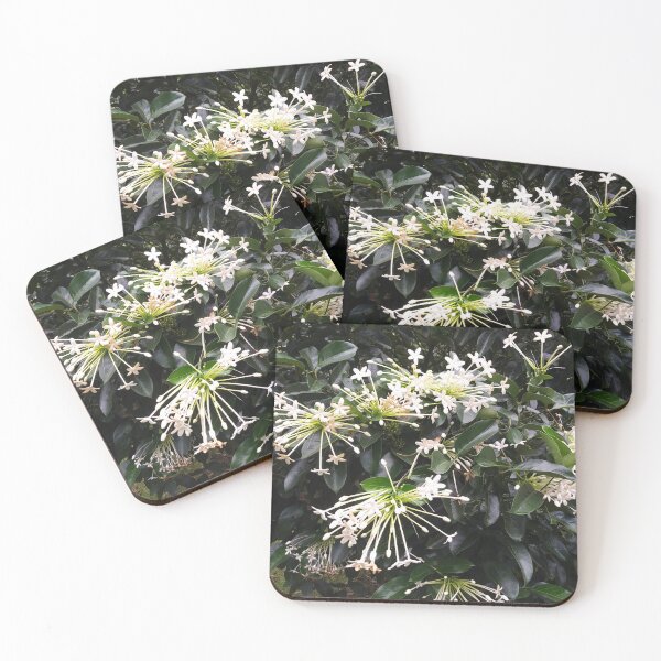 Item preview, Hawaiian Arabian Jasmine or sampaguita -Tropical Nature photography print designed and sold by Kalona808.