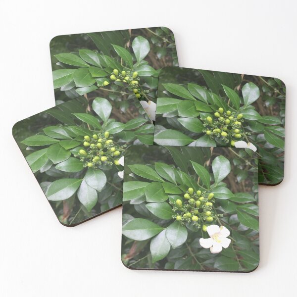 Item preview, Hawaiian Orange jasmine plant- Tropical Nature Photography Print designed and sold by Kalona808.