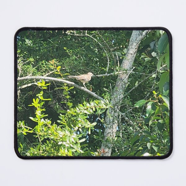 Item preview, Bird Among the Foliage designed and sold by Michelle Adams.