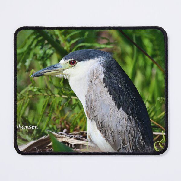 Item preview, Night Heron designed and sold by Glennphotos.