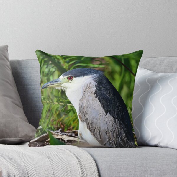 Item preview, Night Heron  designed and sold by Glennphotos.