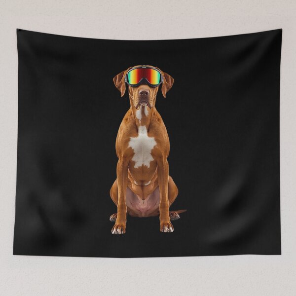 Item preview, Rhodesian Ridgeback Ski Dog Art – Powder-Ready Pup for Dog Lovers & Skiers designed and sold by Fredster1966.