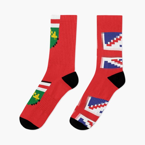 Item preview, Pixelated Ontario Flag designed and sold by Potato Quality Prints.