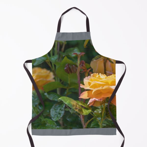 Item preview, UK. Scotland. Edinburgh. Prince's Gardens. Yellow Roses. designed and sold by vadim19.