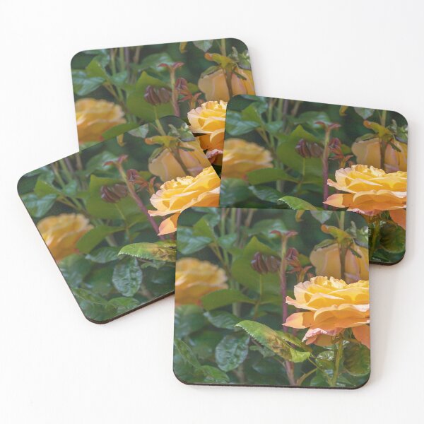 Item preview, UK. Scotland. Edinburgh. Prince's Gardens. Yellow Roses. designed and sold by vadim19.