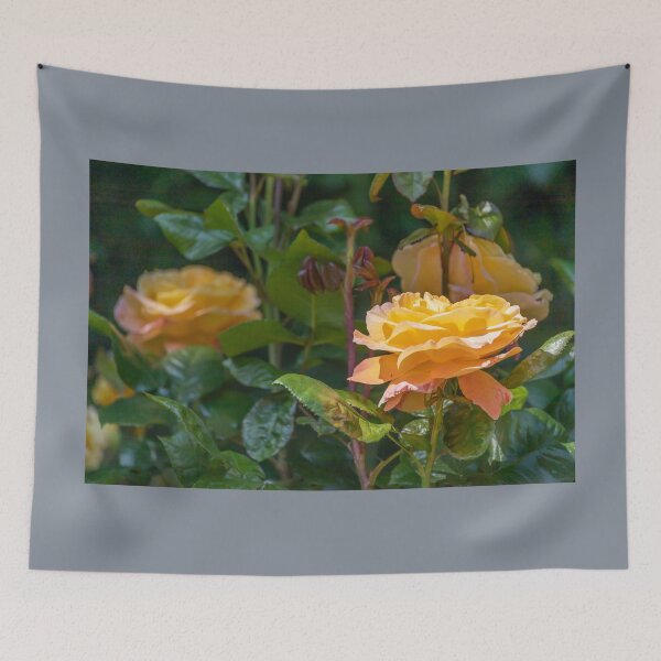 Item preview, UK. Scotland. Edinburgh. Prince's Gardens. Yellow Roses. designed and sold by vadim19.