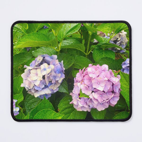 Item preview, Hydrangeas designed and sold by etherealwonders.