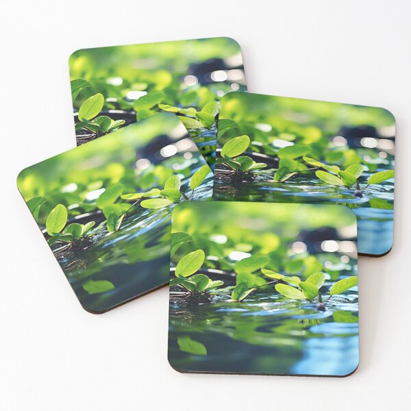 Item preview, Graceful Tiny Leaves Floating Elegantly In A Pond  designed and sold by DEC02.