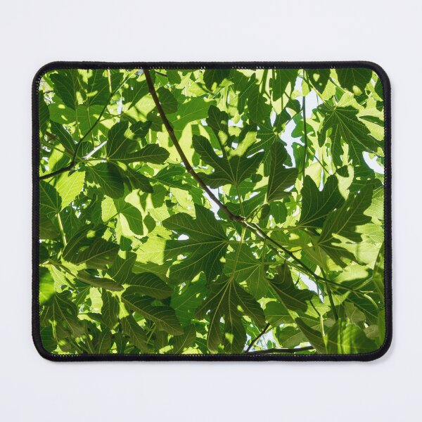 Item preview, Sunlight Through a Fig Tree Leaves Mosaic designed and sold by Georgia Mizuleva.