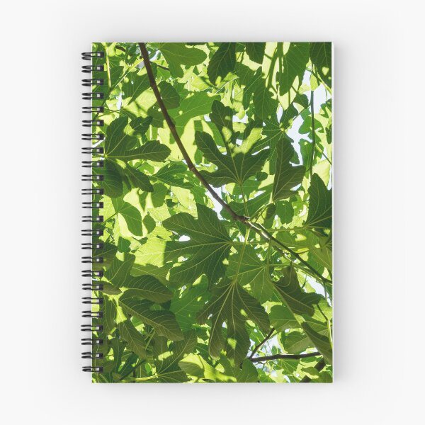Item preview, Sunlight Through a Fig Tree Leaves Mosaic designed and sold by Georgia Mizuleva.