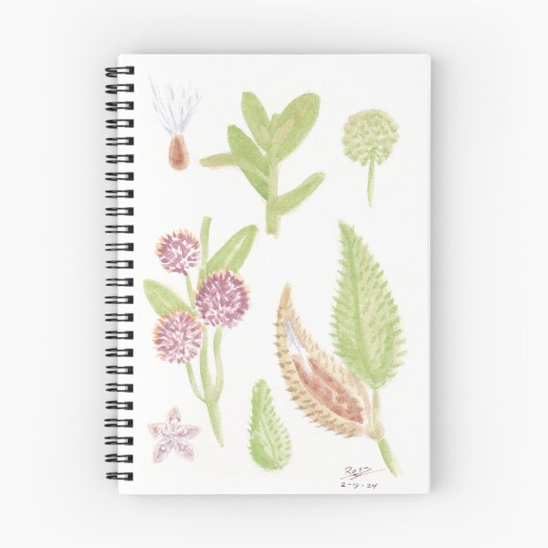 Item preview, Milkweed Growth Cycle Watercolor Painting designed and sold by A_Guy_With_Art_Supplies.
