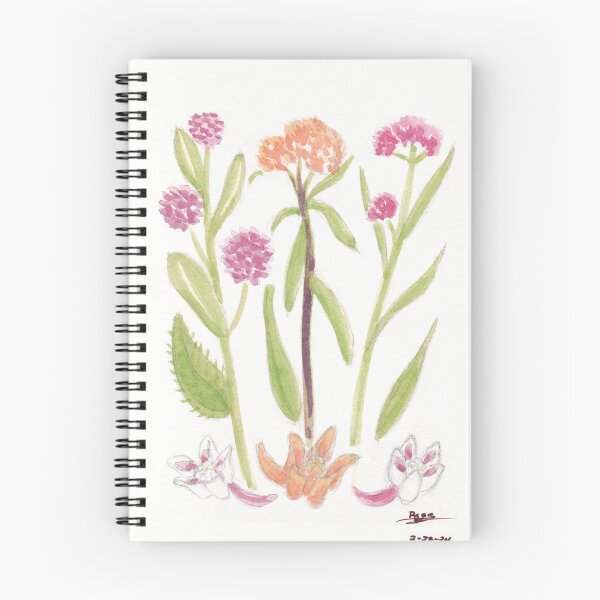 Item preview, Tres tipos de algodoncillo designed and sold by A_Guy_With_Art_Supplies.