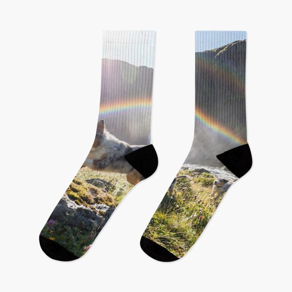Item preview, Joyful Blue Merle Australian Shepherd at Rainbow Waterfall designed and sold by PetMemorialArt.