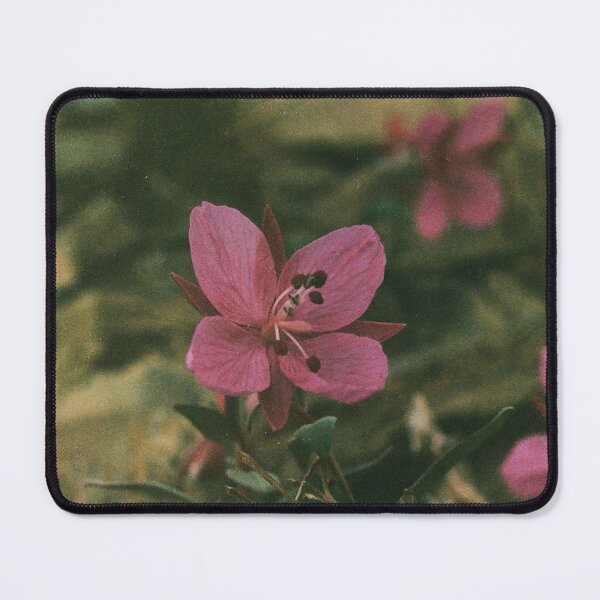 Item preview, River Beauty designed and sold by lilfish-pond.