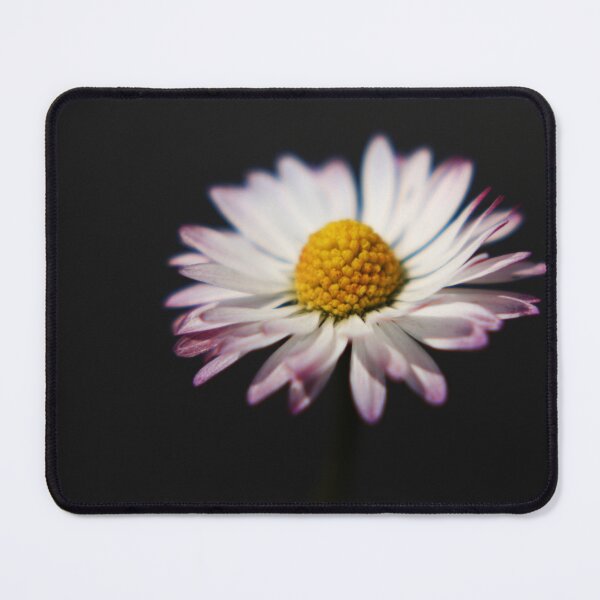 Item preview, Common Daisy designed and sold by Alan Harman.