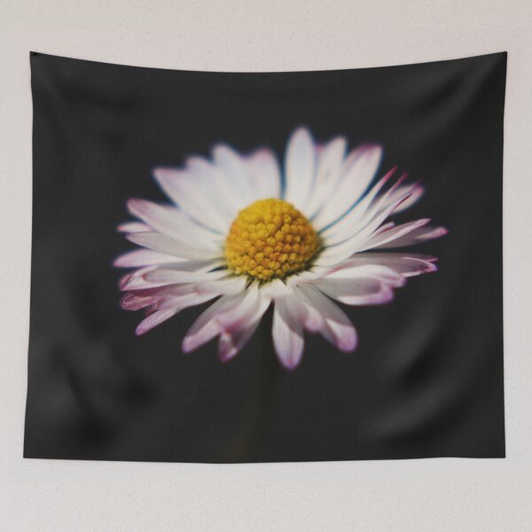 Item preview, Common Daisy designed and sold by Alan Harman.