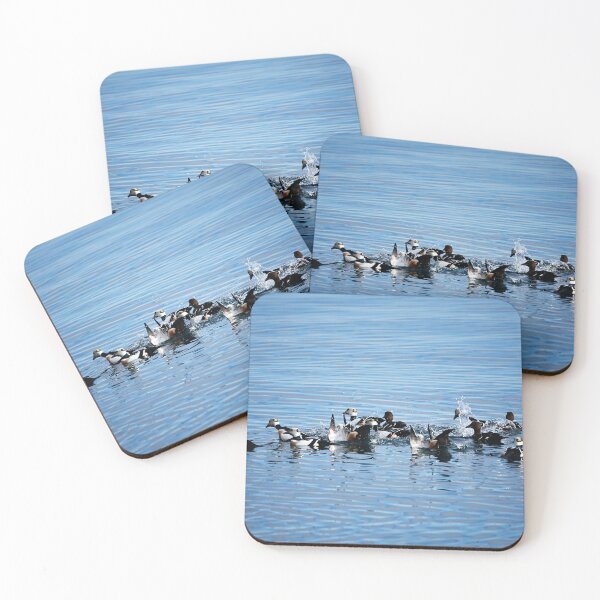 Item preview, Spotted Duck (Polysticta stelleri) designed and sold by Andreas Koerner.