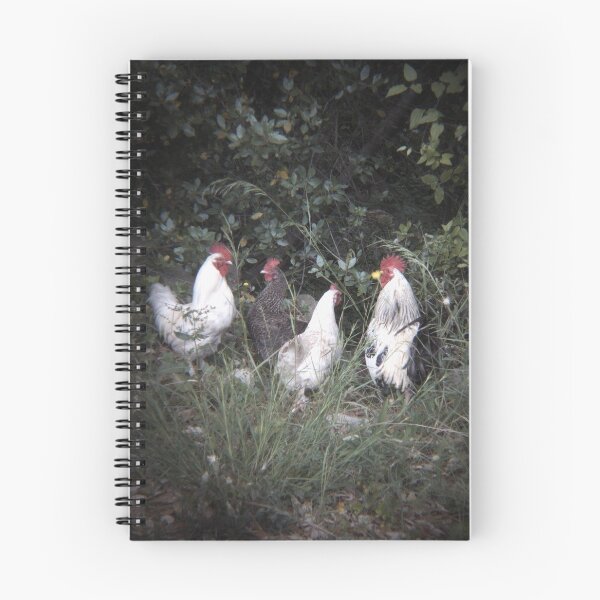 Item preview, 2015 Galli e galline designed and sold by robertoferrero.