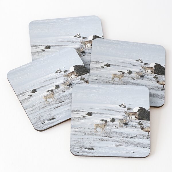 Item preview, Reindeer or Reindeer (Rangifer tarandus) designed and sold by Andreas Koerner.