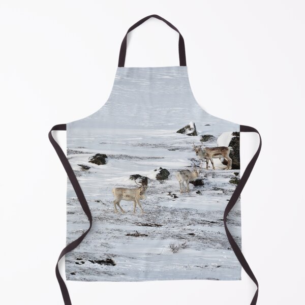 Item preview, Reindeer or Reindeer (Rangifer tarandus) designed and sold by Andreas Koerner.
