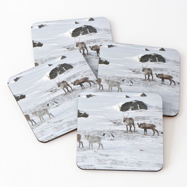 Item preview, Reindeer or Reindeer (Rangifer tarandus) designed and sold by Andreas Koerner.