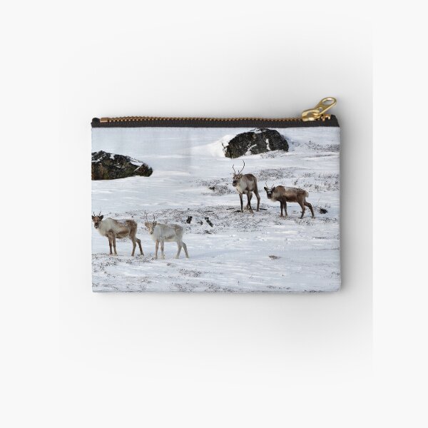 Item preview, Reindeer or Reindeer (Rangifer tarandus) designed and sold by Andreas Koerner.
