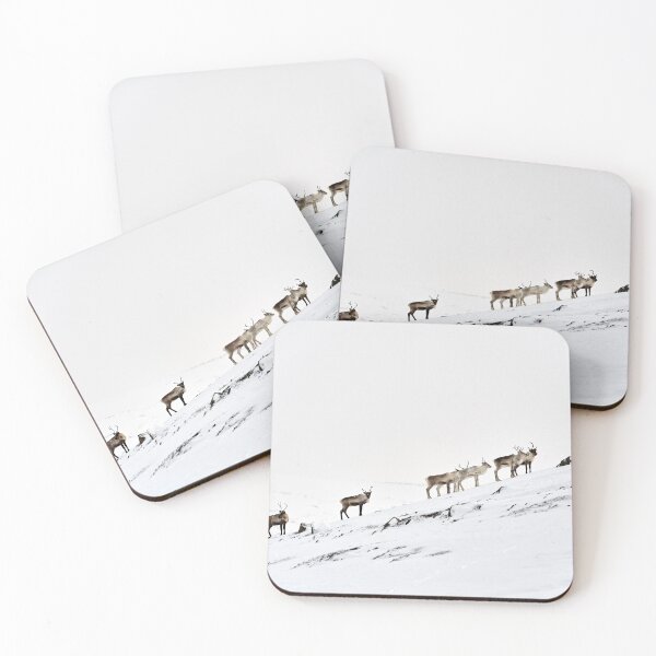 Item preview, Reindeer or Reindeer (Rangifer tarandus) designed and sold by Andreas Koerner.