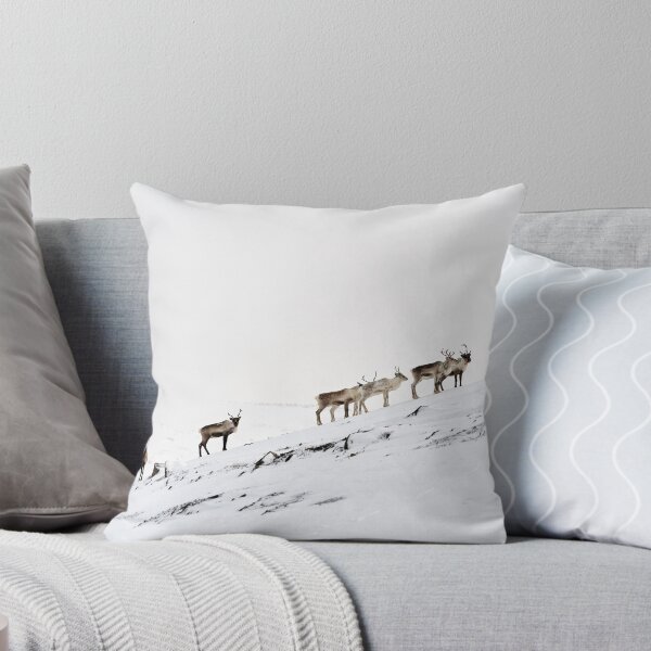 Item preview, Reindeer or Reindeer (Rangifer tarandus) designed and sold by Andreas Koerner.