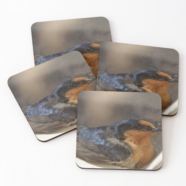 Item preview, Barn Swallow Close-Up at Magpie Springs designed and sold by MagpieSprings.