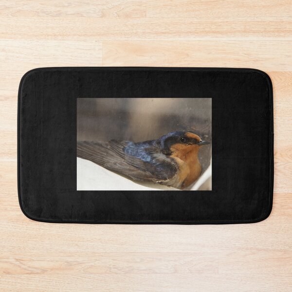 Item preview, Barn Swallow Close-Up at Magpie Springs designed and sold by MagpieSprings.