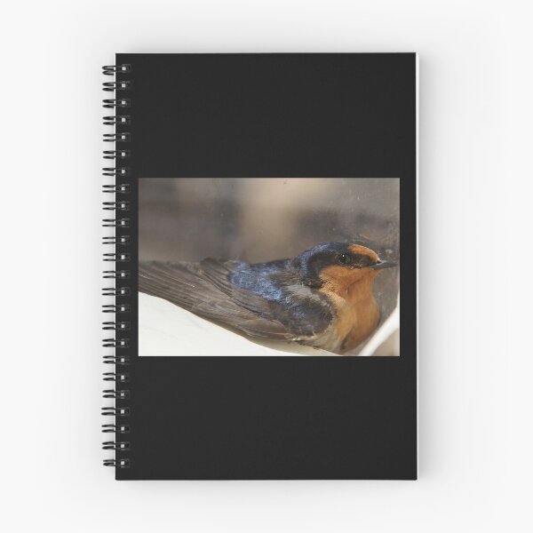 Item preview, Barn Swallow Close-Up at Magpie Springs designed and sold by MagpieSprings.