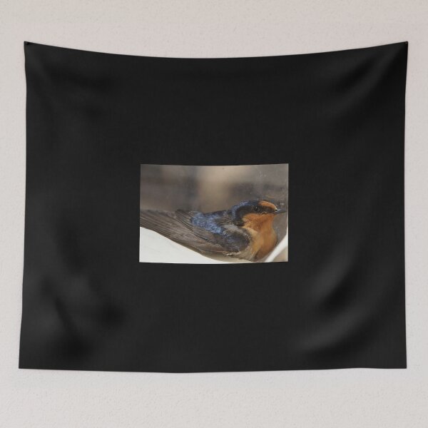Item preview, Barn Swallow Close-Up at Magpie Springs designed and sold by MagpieSprings.