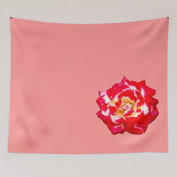 Item preview, Red petals rose blossoming designed and sold by SOJI hanae.