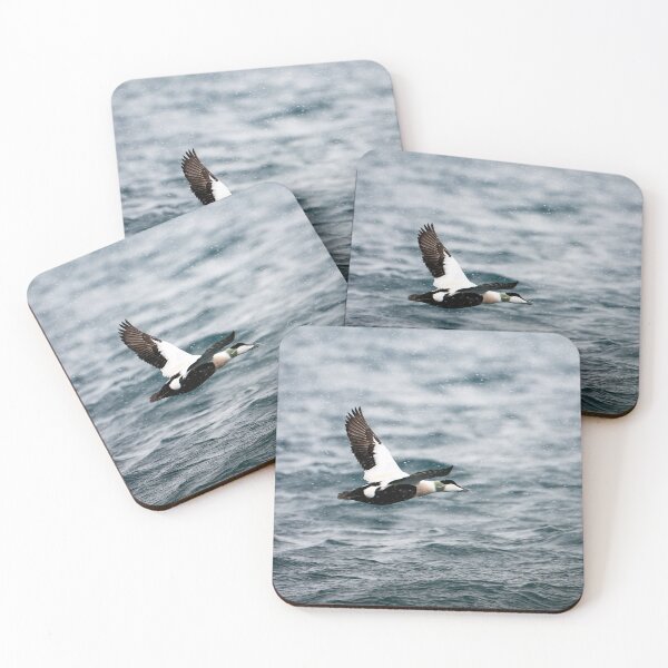 Item preview, Eider duck (Somateria mollissima)  designed and sold by Andreas Koerner.