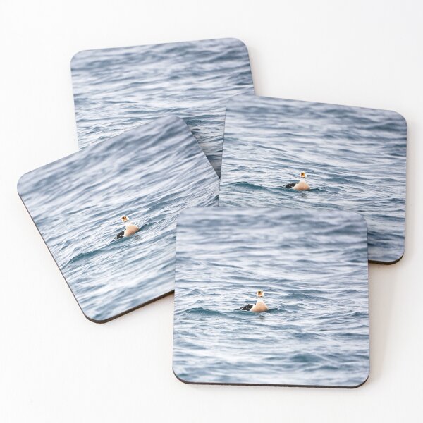 Item preview, King or Royal Eider (Somateria spectabilis) designed and sold by Andreas Koerner.