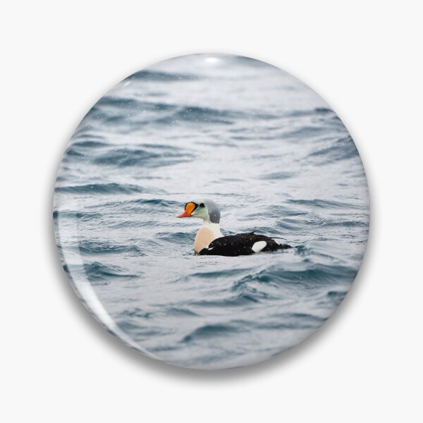 Item preview, King or Royal Eider (Somateria spectabilis) designed and sold by Andreas Koerner.